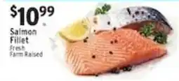 Met Foodmarkets Salmon Fillet offer