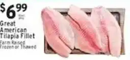 Met Foodmarkets Great american tilapia fillet offer