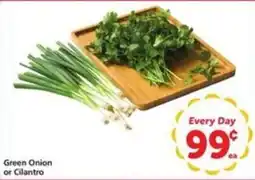Vons Green Onion or Cilantro offer