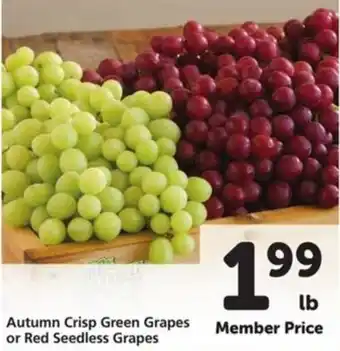 Autumn Crisp Green Grapes or Red Seedless Grapes