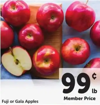 Fuji or Gala Apples