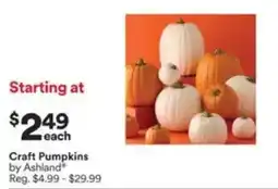 Michaels Craft Pumpkins by Ashland offer