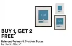 Michaels Belmont frames & shadow boxes offer