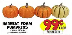 Ollie's Harvest foam pumpkins offer