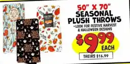 Ollie's Seasonal Plush Throws offer