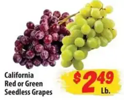Food Giant California red or green seedless grapes offer