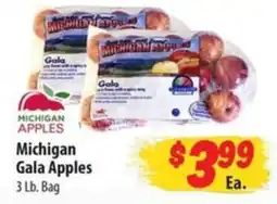 Food Giant Michigan Gala Apples offer