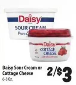 Food Giant Daisy Sour Cream or Cottage Cheese offer