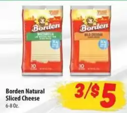 Food Giant Borden Natural Sliced Cheese offer