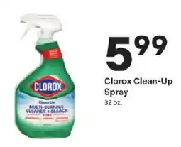 Coborn's Clorox clean-up spray offer