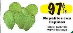 La Michoacana Fresh Cactus With Thorns offer