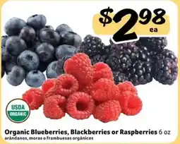 Fresco y Más Organic Blueberries, Blackberries or Raspberries offer