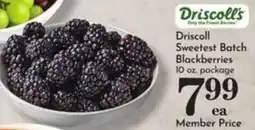 Pavilions Driscoll's sweetest batch blackberries offer