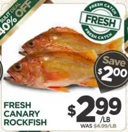 Island Pacific Market Fresh Canary Rockfish offer