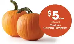 Fry's Medium Carving Pumpkins offer