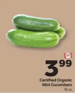 Weis Markets Certified Organic Mini Cucumbers offer