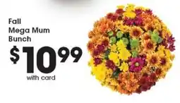 Metro Market Fall Mega Mum Bunch offer