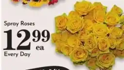 Pavilions Spray Roses offer