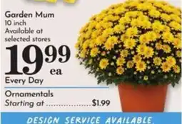 Pavilions Garden Mum offer