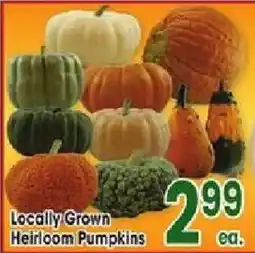 Jewel-Osco Locally Grown Heirloom Pumpkins offer