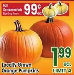 Jewel-Osco Locally Grown Orange Pumpkins offer