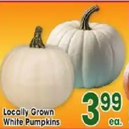Jewel-Osco Locally Grown White Pumpkins offer