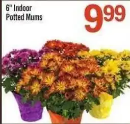 Price Chopper 6" Indoor Potted Mums offer