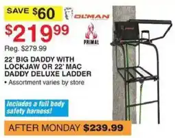 Dunham's Sports Olman 22' Big Daddy with Lockjaw or 22' Mac Daddy Deluxe Ladder offer