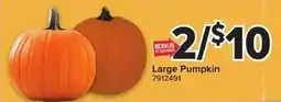Giant Food Large Pumpkin offer