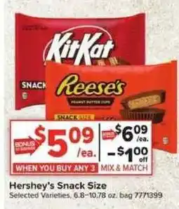 Giant Food Hershey's Snack Size offer