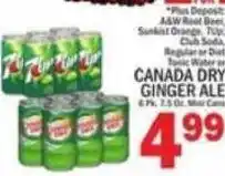 C Town Canada Dry Ginger Ale offer