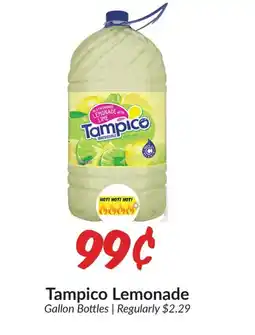 Woodman's Tampico Lemonade offer