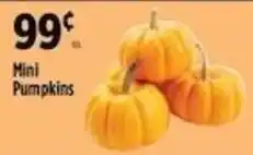 Pioneer Supermarkets Mini Pumpkins offer