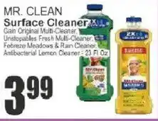 Key Food Mr. Clean surface cleaner offer
