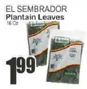 Food Universe El sembrador plantain leaves offer