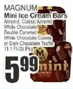 Food Universe Magnum mini ice cream bars offer