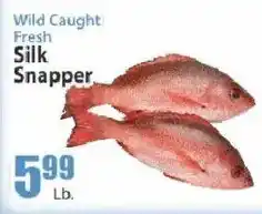 Key Food Wild Caught Fresh Silk Snapper offer
