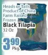 Key Food Heads or Tails black tilapia offer