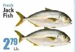 Key Food Fresh Jack Fish offer