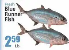 Key Food Fresh blue runner fish offer