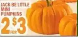 C Town Jack be little mini pumpkins offer