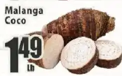 Food Universe Malanga Coco offer