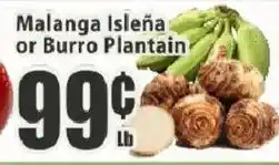 Food Universe Malanga Isleña or Burro Plantain offer