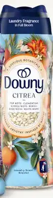 Target Downy Citrea 21.1-oz. scent booster beads offer