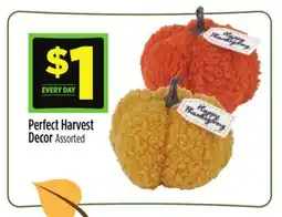 Dollar General Perfect Harvest Decor offer