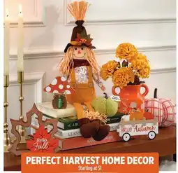 Dollar General PERFECT HARVEST HOME DECOR offer