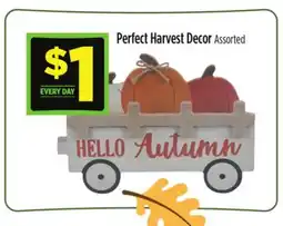 Dollar General Perfect Harvest Decor offer