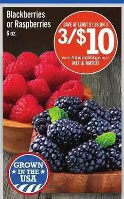 Price Chopper Blackberries or Raspberries offer