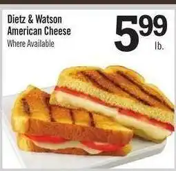 Price Chopper Dietz & Watson American Cheese offer