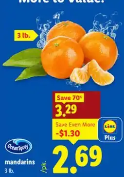 Lidl mandarins offer